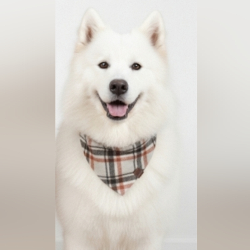 NEW! SOUTHERN LIVING REVERSIBLE ROD BANDANA- PLAID- xs/small